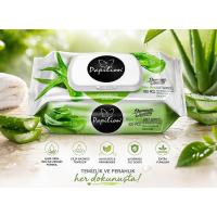 PAPİLİON Islak Havlu Aloe Vera 100'lü