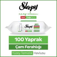 Sleepy Yüzey Temizlik Havlusu Çam Ferhalığı 100'lü