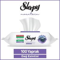 Sleepy Yüzey Temizlik Havlusu Dağ esintisi 100'lü