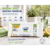 Solo Yüzey Temizlik Havlusu 100 lü 